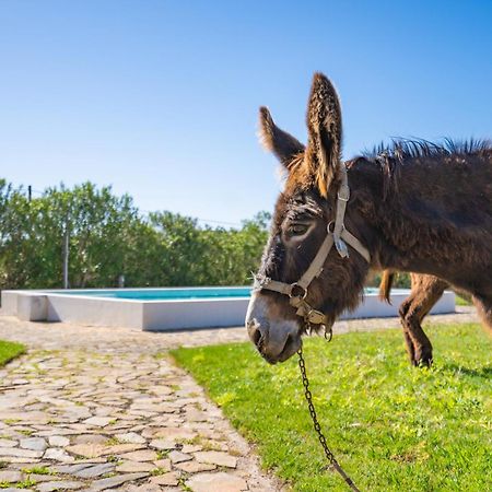 Burro Ville By Host Wise Portimão Eksteriør bilde