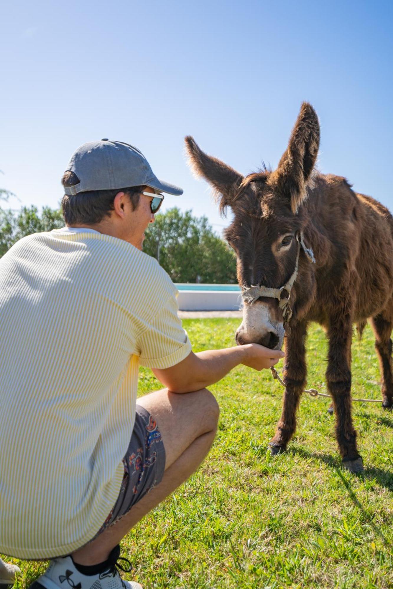 Burro Ville By Host Wise Portimão Eksteriør bilde