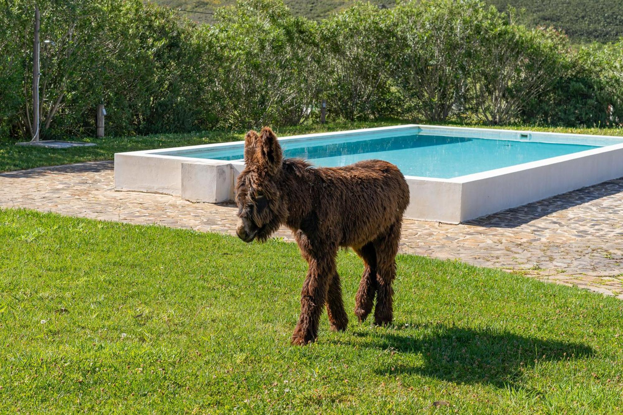 Burro Ville By Host Wise Portimão Eksteriør bilde